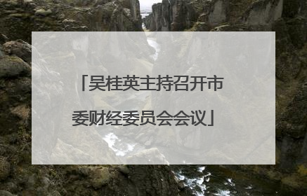 吴桂英主持召开市委财经委员会会议