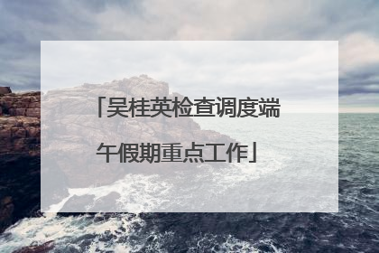 吴桂英检查调度端午假期重点工作