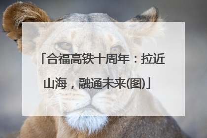 合福高铁十周年：拉近山海，融通未来(图)