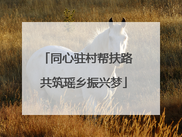 同心驻村帮扶路 共筑瑶乡振兴梦