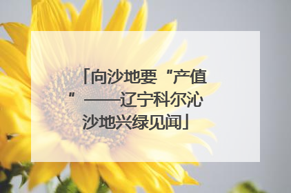 向沙地要“产值”——辽宁科尔沁沙地兴绿见闻