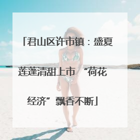君山区许市镇：盛夏莲蓬清甜上市 “荷花经济”飘香不断