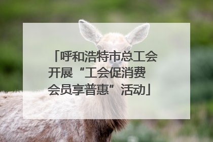 呼和浩特市总工会开展“工会促消费 会员享普惠”活动