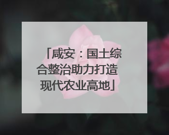 咸安：国土综合整治助力打造现代农业高地