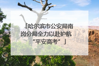 哈尔滨市公安局南岗分局全力以赴护航“平安高考”