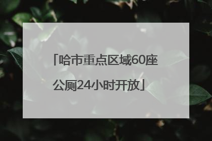 哈市重点区域60座公厕24小时开放