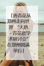 唐青花从郑州走向世界 “大唐・青花瓷学术研讨会”在郑州圆满举行