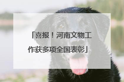 喜报！河南文物工作获多项全国表彰