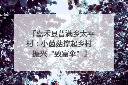 嘉禾县普满乡太平村：小菌菇撑起乡村振兴“致富伞”