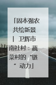 固本强农 共绘新景 ︳卫辉市南社村：蔬菜村的“链”动力
