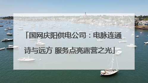 国网庆阳供电公司：电脉连通诗与远方 服务点亮露营之光