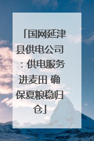国网延津县供电公司：供电服务进麦田 确保夏粮稳归仓