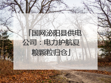 国网泌阳县供电公司：电力护航夏粮颗粒归仓