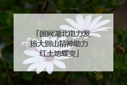 国网湖北电力发扬大别山精神助力红土地蝶变