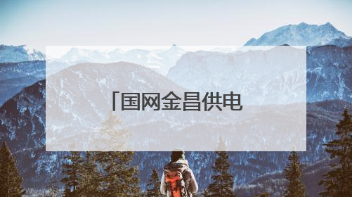 国网金昌供电公司服务能源项目“加速跑”