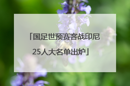 国足世预赛客战印尼25人大名单出炉