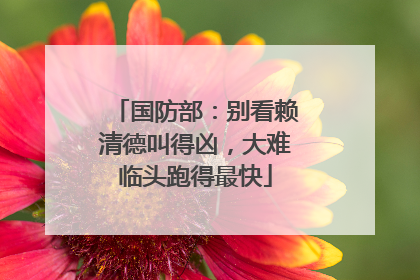 国防部：别看赖清德叫得凶，大难临头跑得最快