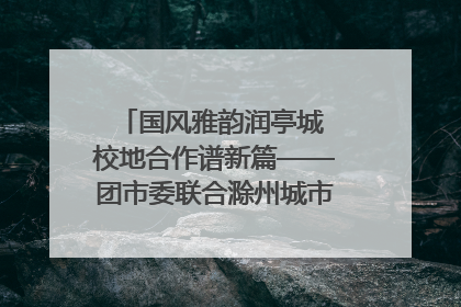 国风雅韵润亭城 校地合作谱新篇——团市委联合滁州城市职业学院助力传统文化“破圈”绽放