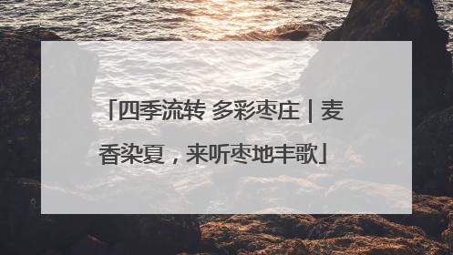 四季流转 多彩枣庄|麦香染夏,来听枣地丰歌