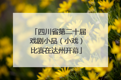 四川省第二十届戏剧小品（小戏）比赛在达州开幕