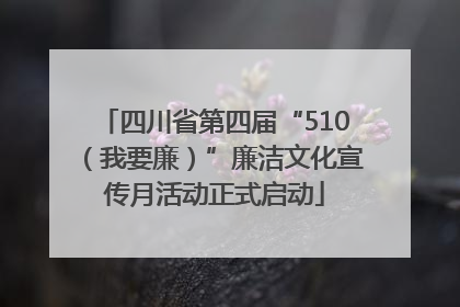 四川省第四届“510（我要廉）”廉洁文化宣传月活动正式启动