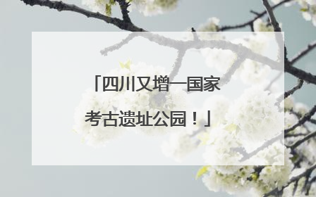 四川又增一国家考古遗址公园！