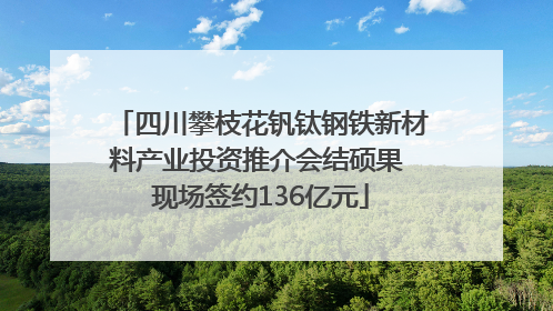 四川攀枝花钒钛钢铁新材料产业投资推介会结硕果 现场签约136亿元