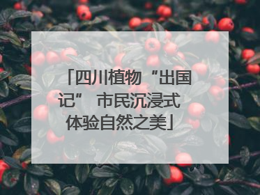 四川植物“出国记” 市民沉浸式体验自然之美