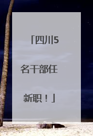 四川5名干部任新职！