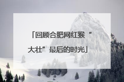 回顾合肥网红猴“大壮”最后的时光