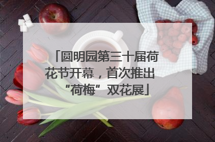 圆明园第三十届荷花节开幕，首次推出“荷梅”双花展