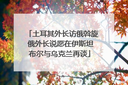土耳其外长访俄斡旋 俄外长说愿在伊斯坦布尔与乌克兰再谈