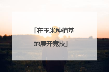 在玉米种植基地展开竞技