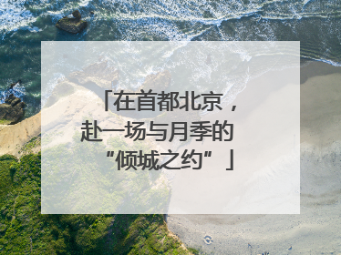 在首都北京，赴一场与月季的“倾城之约”