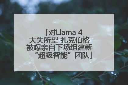 对Llama 4大失所望 扎克伯格被曝亲自下场组建新“超级智能”团队
