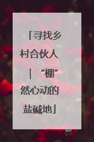 寻找乡村合伙人｜“棚”然心动的盐碱地