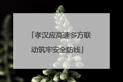 孝汉应高速多方联动筑牢安全防线