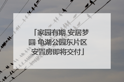 家园有期 安居梦圆 龟湖公园东片区安置房即将交付