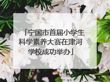 宁国市首届小学生科学素养大赛在津河学校成功举办