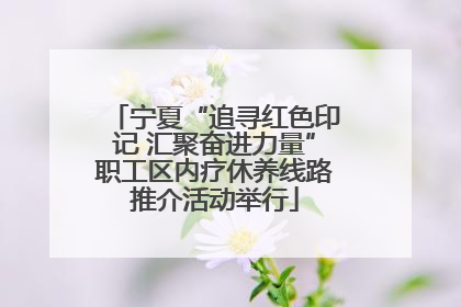 宁夏“追寻红色印记 汇聚奋进力量”职工区内疗休养线路推介活动举行