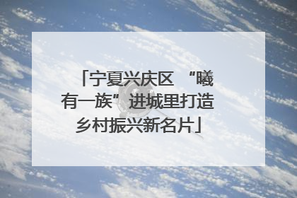 宁夏兴庆区 “曦有一族”进城里打造乡村振兴新名片