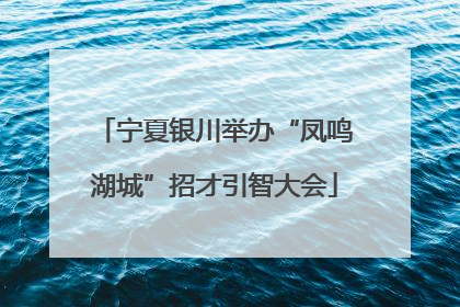 宁夏银川举办“凤鸣湖城”招才引智大会