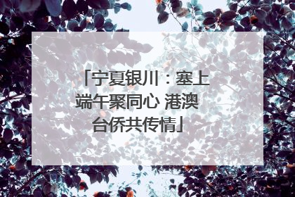 宁夏银川：塞上端午聚同心 港澳台侨共传情
