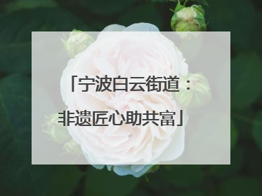 宁波白云街道：非遗匠心助共富