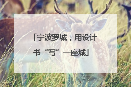 宁波罗城，用设计书“写”一座城