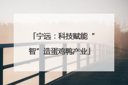 宁远：科技赋能“智”造蛋鸡鸭产业