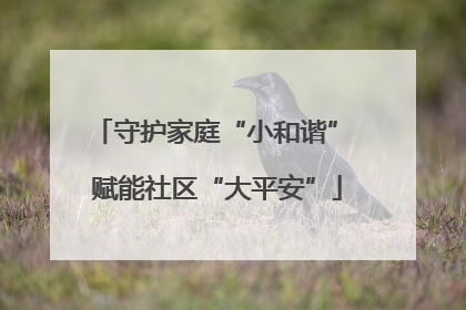 守护家庭“小和谐” 赋能社区“大平安”