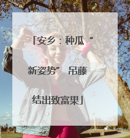 安乡：种瓜“新姿势” 吊藤结出致富果