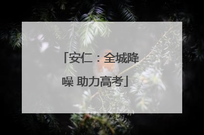 安仁：全城降噪 助力高考