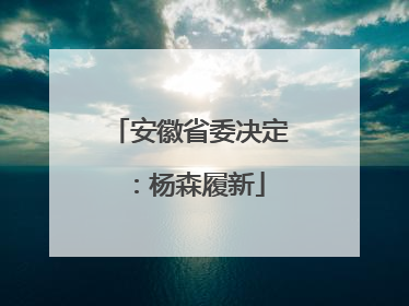 安徽省委决定：杨森履新